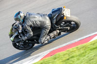 Evening Adv_Mid Group Black Bikes